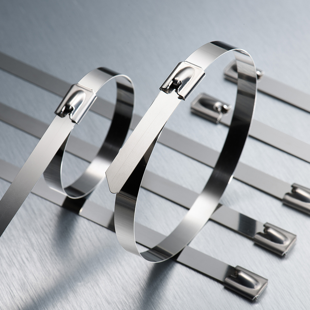 Stainless Steel Cable Ties
